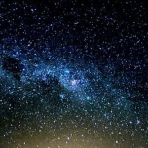 Meet your Posher, Avin